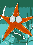 pic for sea star